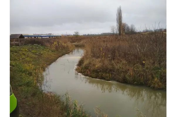 Гнідавський цукровий завод забруднив річку  Жидувку, – луцькі екологи (фото)
