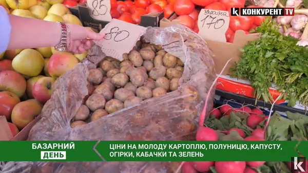 Молода картопля, огірки та капуста: скільки коштує весняна городина на луцьких ринках (відео)