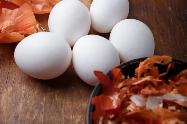 Крашанки-веселки: 7 натуральних барвників для великодніх яєць (фото)