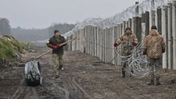 Рогатий мігрант з Білорусі порушив кордон і попрямував на Волинь (відео)