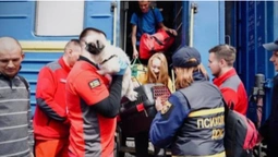 Ще 24 родини: на Волинь прибув другий евакуаційний потяг із Донеччини (фото)