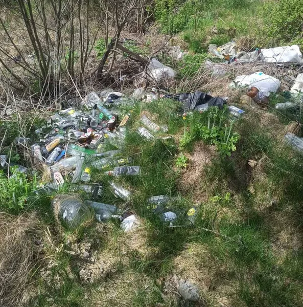 На Волині виявили два стихійних сміттєзвалища (фото)