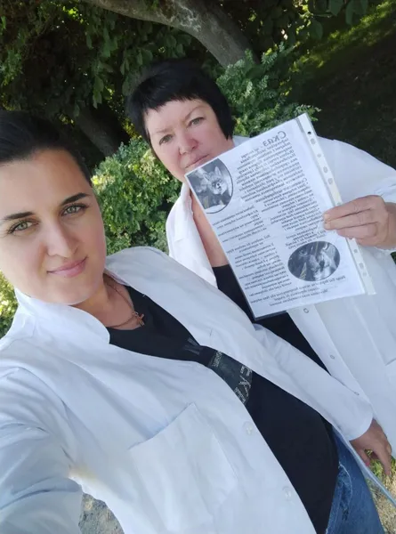 У Володимирі і Нововолинську «на халяву» вакцинували котиків і собачок (фото)
