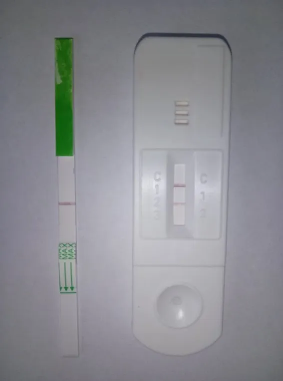 Українські вчені розробили ПЛР-тест, який може одночасно визначити COVID-19 та грип