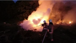 На Волині сталися чотири пожежі на відкритій місцевості (фото)