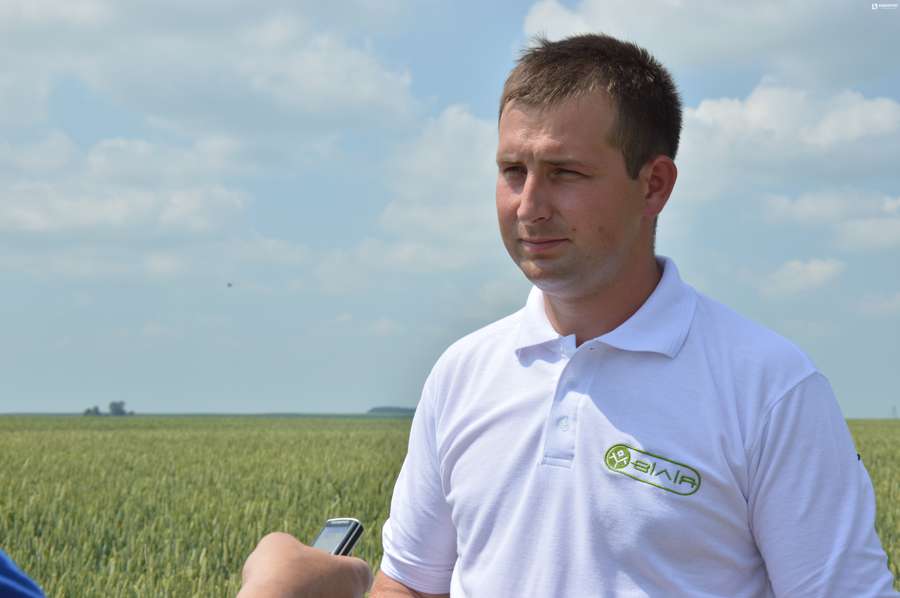 Головний агроном господарства «Волинь-Нова» Віктор Савенюк розповів про особливості вирощування озимої пшениці елітних сортів