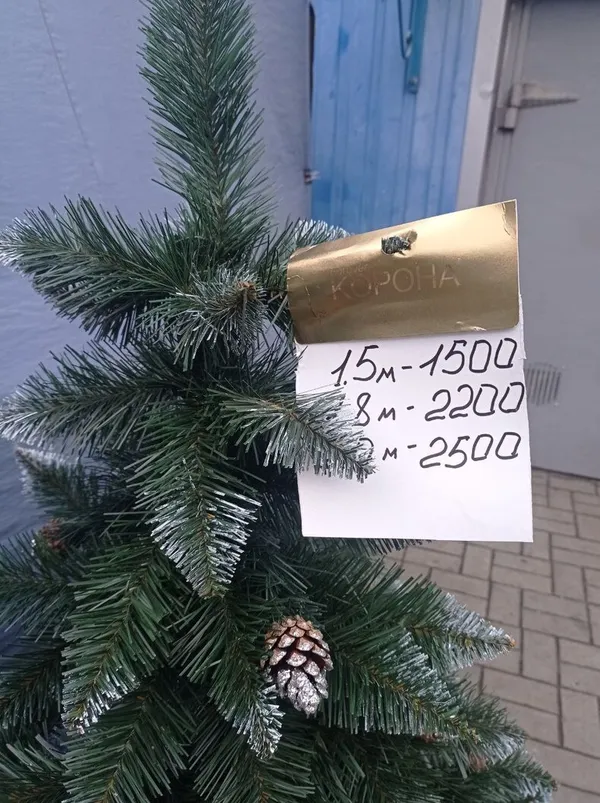 У Краматорську найбільше продають ялинок саме з Волині (фото)