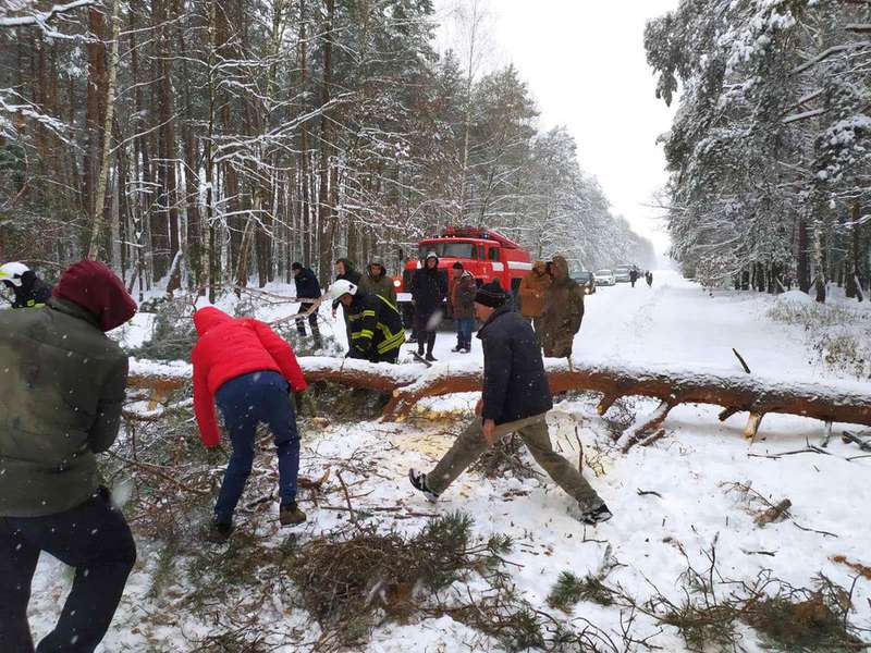 Негода на Волині: рятувальники розчищували дороги від повалених дерев (фото)