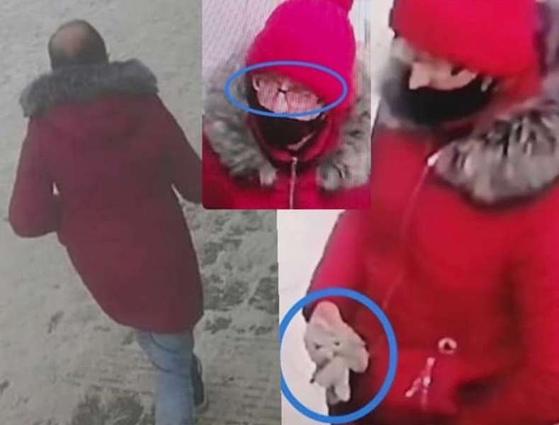 Перевдягнувся у жіночий одяг: у Львові чоловік намагався розбестити 7-річну школярку (фото)