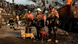 Спеціальний загін «Антарєс»: як собаки у Дніпрі шукають поранених та загиблих під завалами (фото)