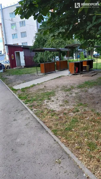 У Луцьку продавці городини ігнорують прилавки і торгують на землі (фото)