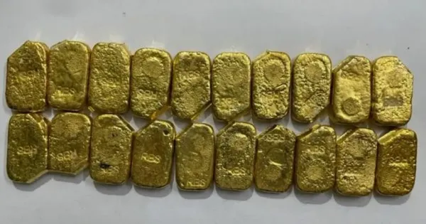 В організмі стюардеси виявили 1 кг золота: як так сталося (фото)