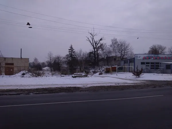 У Луцьку два роки обрізки дерев висять на електродротах (фото)