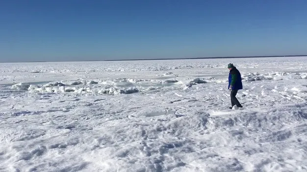 У США біля берегів замерз океан (відео) 