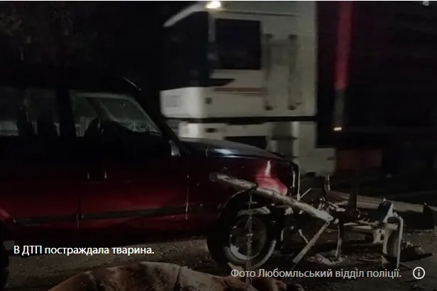 У Любомлі підвода в’їхала в позашляховик (фото 18+)