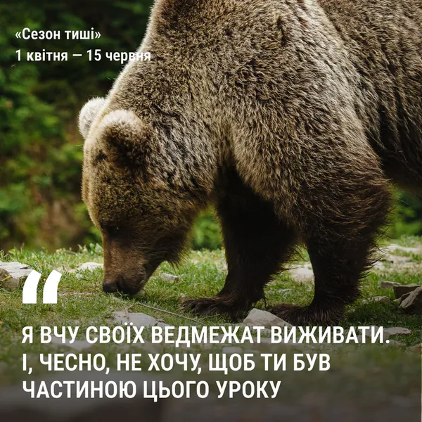 У лісах Волині заборонили кричати