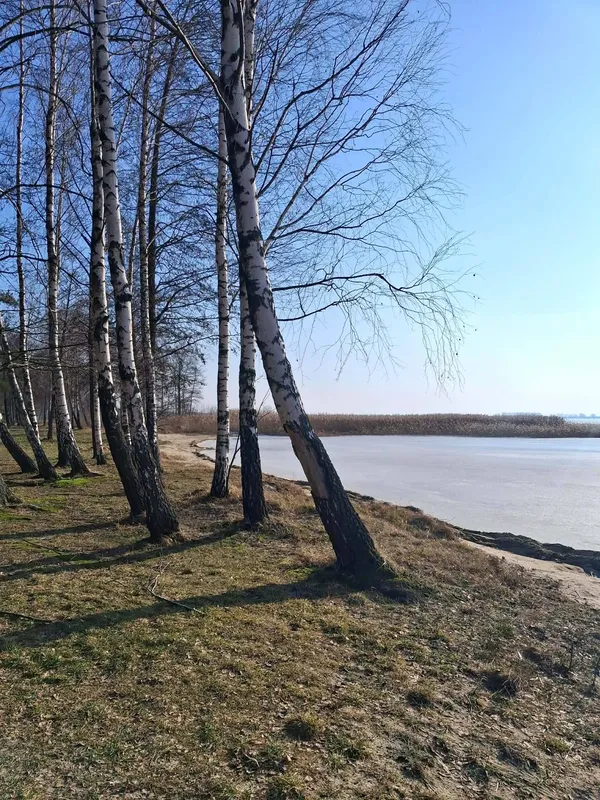 Крига, сонце і весна: Світязь огорнули перші теплі промені (фото)