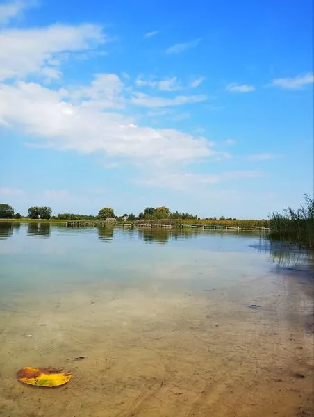 Зручні пірси і мало людей: на Волині в озері у формі вуха водиться багато риби (фото)