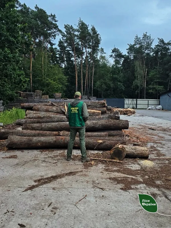 На Волині викрили базу «чорних» лісорубів (фото)