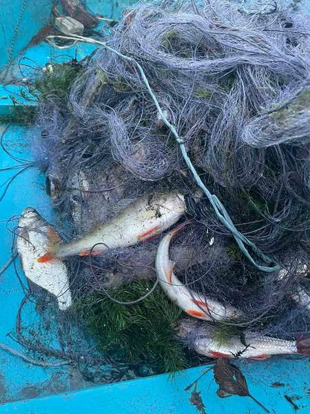 На Світязі браконьєри на човні сіткою наловили риби на 500 тисяч (фото)