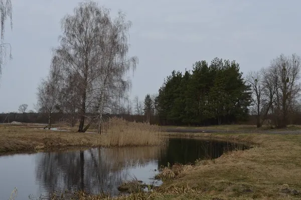Сніг не врятував: у річках Волині – низький рівень води (фото)