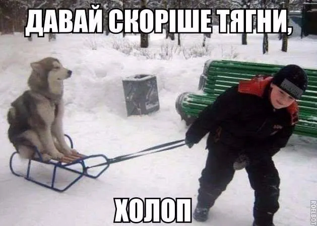 Вхурделило: як соцмережі жартують про погоду