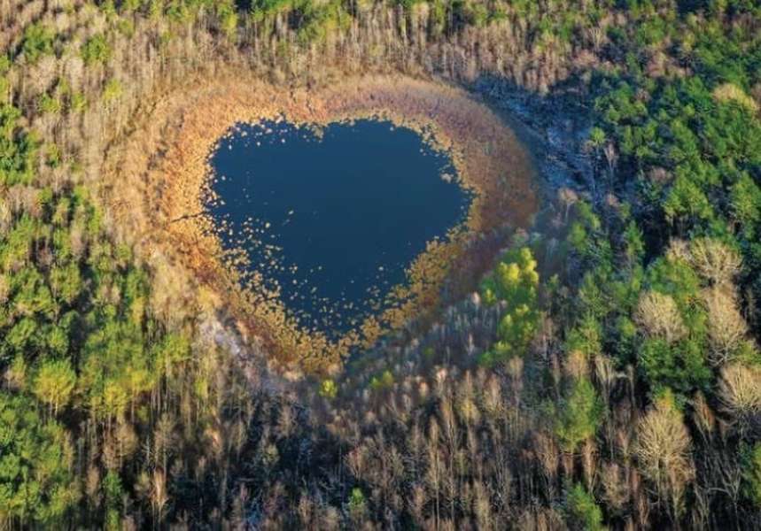 На Волині існує озеро у вигляді серця: де розташовано (фото)