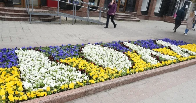 Петиція «Геть клумби з квітами!» зібрала понад 300 підписів лучан