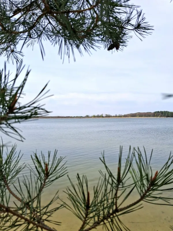 Весна на Шацьких озерах: місцеві показали неймовірні краєвиди (фото)