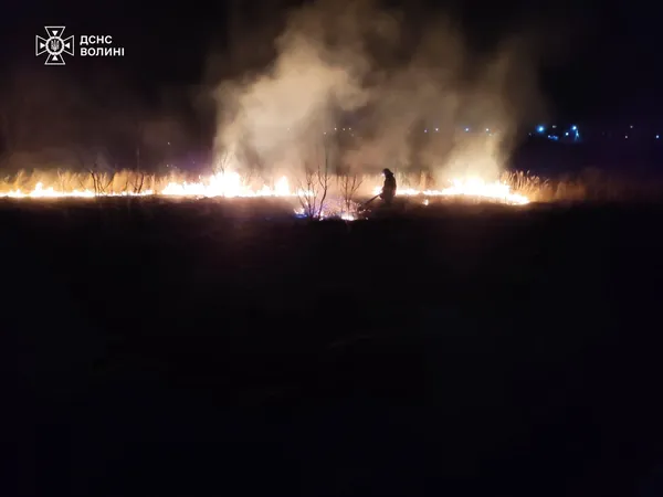 Волинь палає: 8 пожеж за день через недбалість (фото)