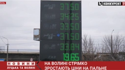 Бензин – 37,50, а дизель – 33,84: чому на Волині стрімко зростають ціни на пальне (відео)