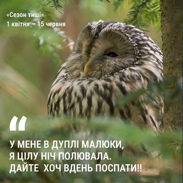У лісах Волині заборонили кричати