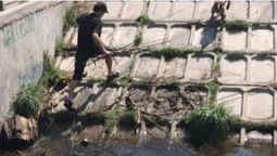 Гілки, пляшки, шини: в Луцьку чоловік самотужки розчищав Сапалаївку (фото, відео)