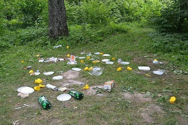 Весна, шашлик – сміття, пожежа