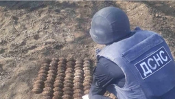 На Одещині чоловік знайшов у своєму городі більш як 100 гранат (фото)