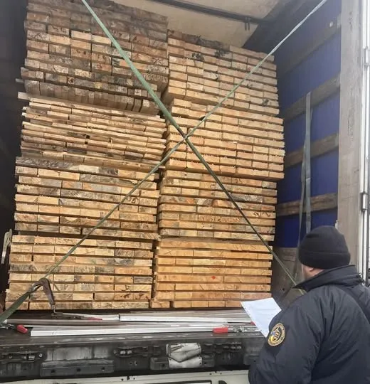 На «Ягодині» зупинили незаконний експорт деревини на майже 7 тисяч євро