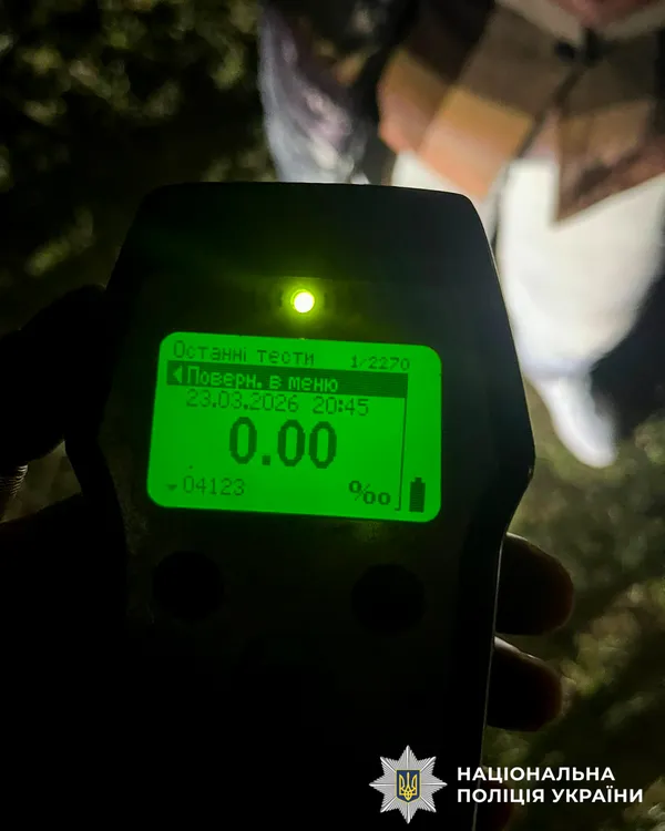 ⚡️Знайшли водійку, яка збила оленя Бориса та втекла з місця аварії