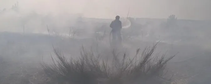 На Волині сталось одразу кілька пожеж в екосистемі