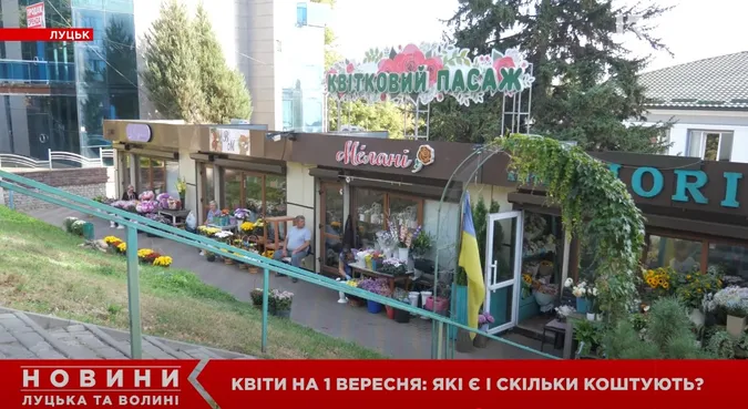 Скільки коштують букети на 1 вересня у Луцьку (відео)