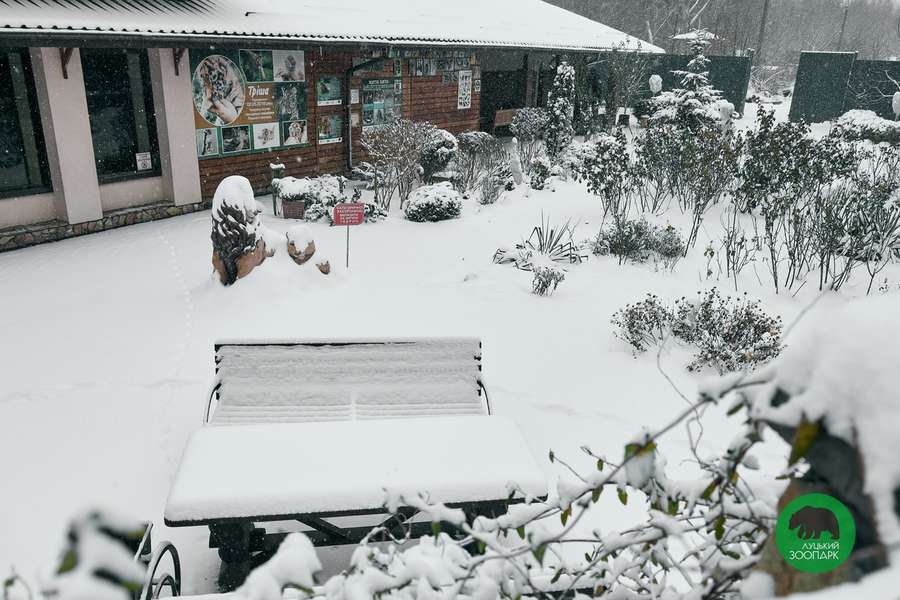Луцький зоопарк накрило сніжною ковдрою (фото)