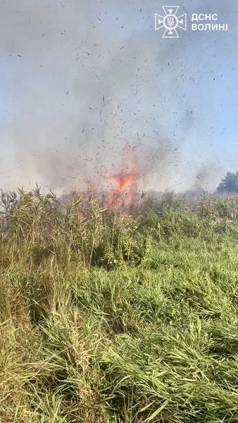 Ліс, чагарники, сміття: у Луцькому районі пожежі охопили 20 га території (фото)