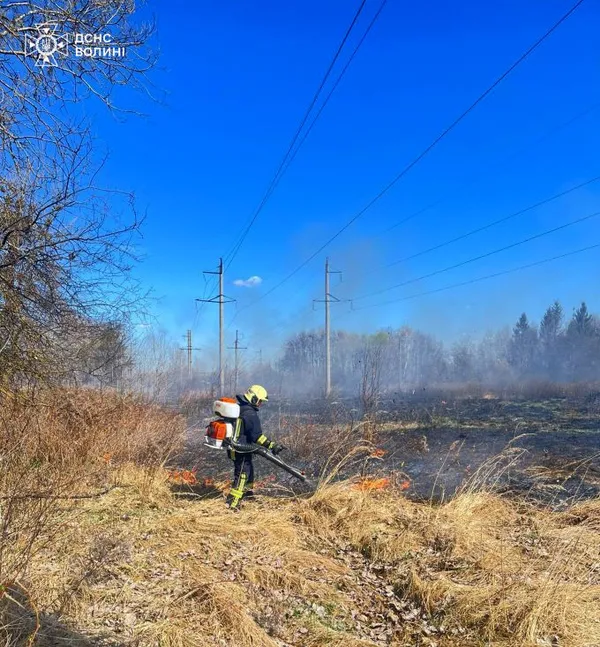 Вогонь підходив до будинків і доріг: на Волині за два дні вигоріло понад 30 га трави і чагарників (фото)
