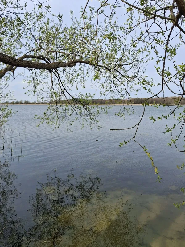 Весна на Шацьких озерах: місцеві показали неймовірні краєвиди (фото)