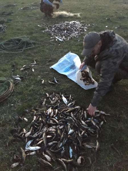 Волинські екоінспектори передали ЗСУ 55 кілограмів риби зі Світязя (фото, відео)
