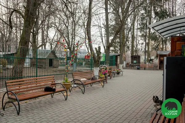 Луцький зоопарк запустив фотофлешмоб