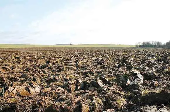 На Волині у сільгосптовариства забрали 64 гектари землі 