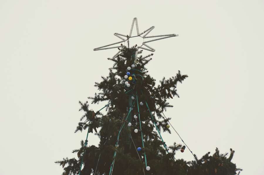 Як прикрашають новорічні ялинки в центрі Луцька (фото)