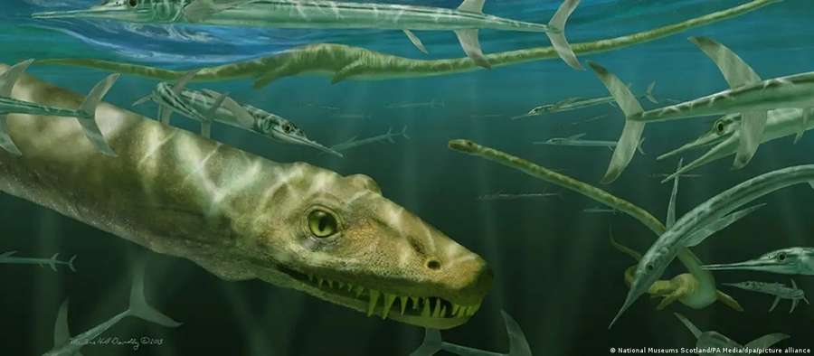 Учені знайшли скамʼянілість динозавра, схожого на фентезійних драконів (фото)