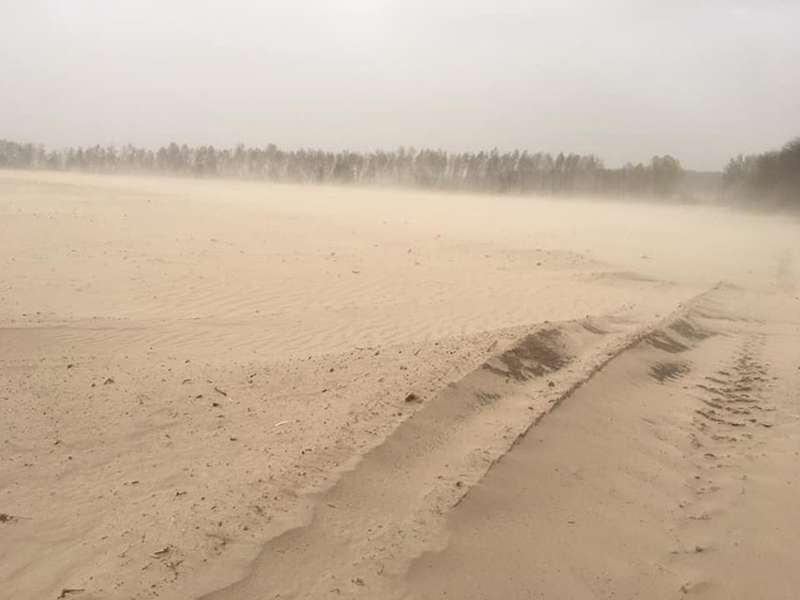 Місце де пилова буря зупинилась на півночі Чернігівщини.