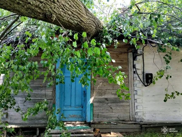 Вирувала негода: на Волині дерево проломило дах будинку (фото)